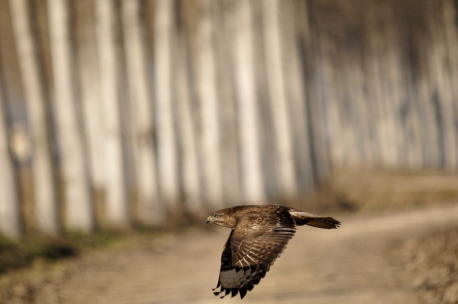 Ho voglia d''aria, esco a farmi un giro